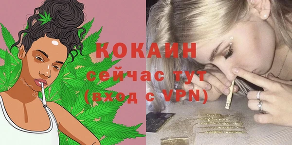 прущий лед Дмитровск