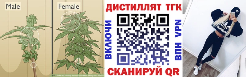 сайты даркнета наркотические препараты  Зарайск  ТГК концентрат 