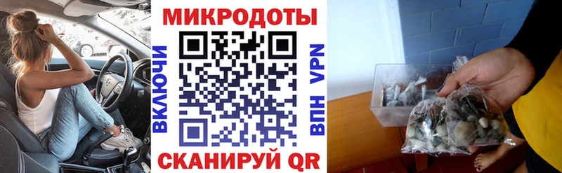 где продают наркотики  Зарайск  Галлюциногенные грибы Psilocybine cubensis 